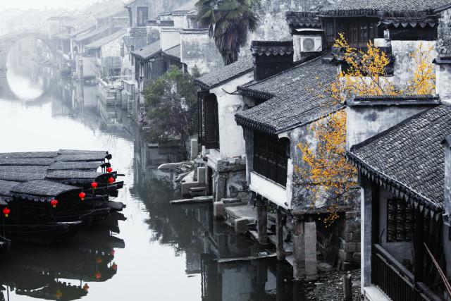 《安家》：曲玲珑露出真面目，服务生说了一句话，曲玲珑尴尬了